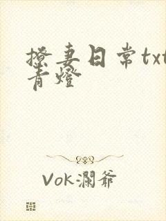 撩妻日常txt青灯