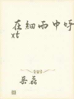 在细雨中呼喊txt