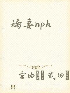 娇妻nph