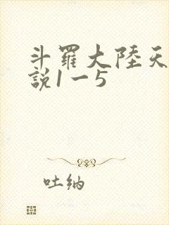 斗罗大陆天狂传说1一5