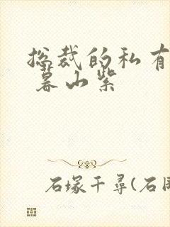 总裁的私有宝贝 暮山紫