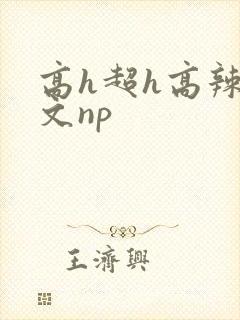 高h超h高辣h文np