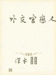 外交官恋人小说