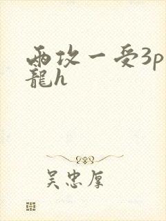 两攻一受3p双龙h