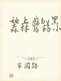 她上瘾by黑暗森林写的小说免费阅读无弹窗