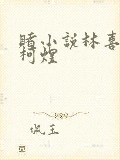 赌小说林喜朝和柯煜