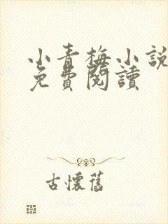 小青梅小说全文免费阅读