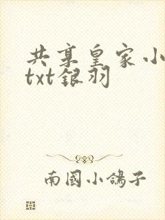 共享皇家小公主txt银羽