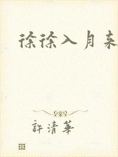 徐徐入月来