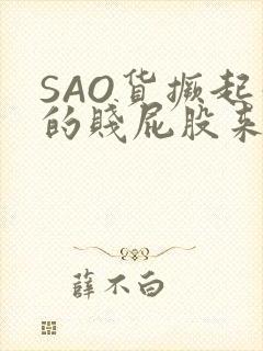 SAO货撅起你的贱屁股来