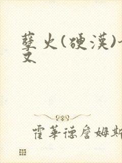 孽火(硬汉)今又