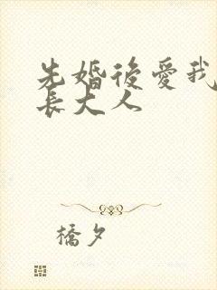 先婚后爱我的市长大人