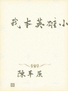 我本英雄小说