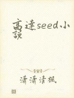 高达seed小说