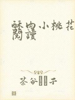 酥肉小桃花全文阅读