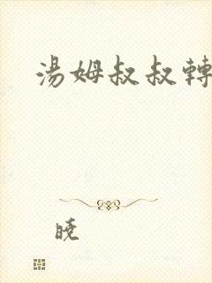 汤姆叔叔转接口