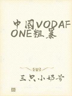 中国VODAFONE粗暴