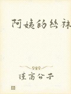 阿姨的丝袜小说