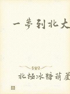 一梦到北大