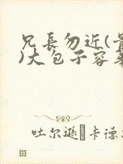 兄长勿近(骨科)大包子容华