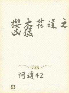 樱木花道之重生凶猛