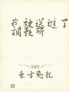 我被送进了私奴调教所