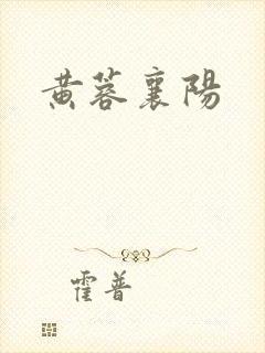 黄蓉襄阳