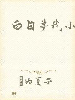 白日梦我小说