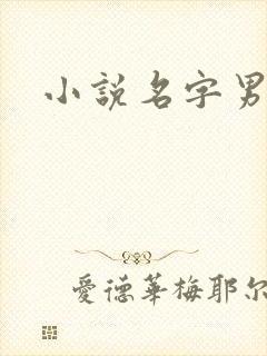 小说名字男生