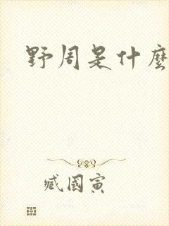 野周是什么意思