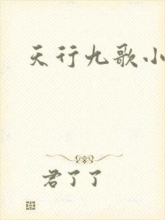 天行九歌小说