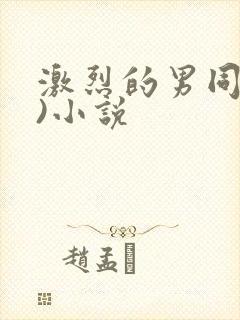 激烈的男同(h)小说