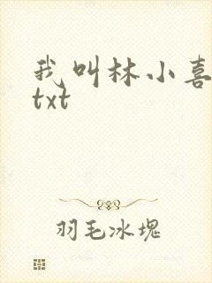 我叫林小喜小说txt