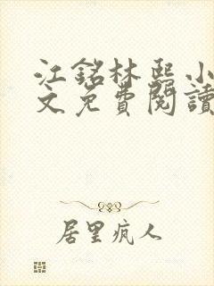 江铭林熙小说全文免费阅读