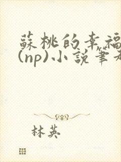 苏桃的幸福生活(np)小说笔趣阁