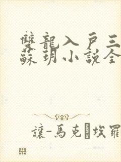 双龙入户三人行苏玥小说全文阅读