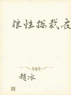 狼性总裁夜欢宠