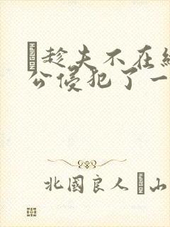 巜趁夫不在给给公侵犯了一天