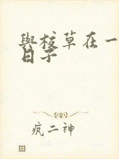 与校草在一起的日子