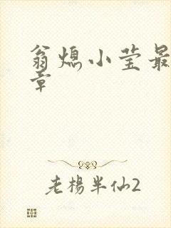 翁熄小莹最新节章
