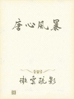 唐心风暴