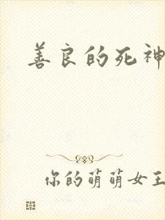 善良的死神小说