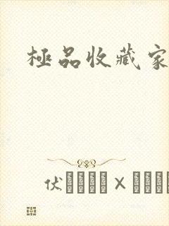 极品收藏家