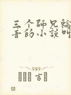 三个师兄轮流上音的小说叫什么