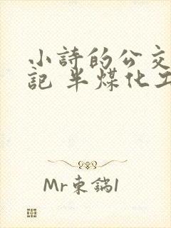 小诗的公交车日记 半煤化工