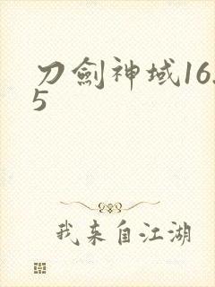 刀剑神域16.5