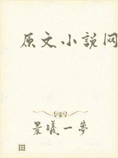 原文小说网