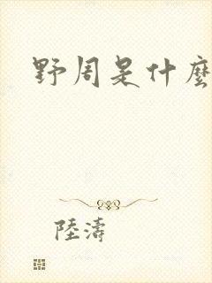 野周是什么意思