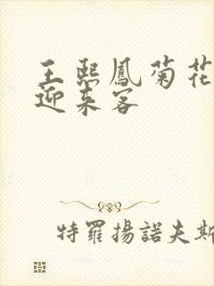 王熙凤菊花门初迎来客