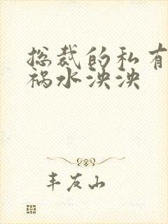 总裁的私有宝贝祸水泱泱